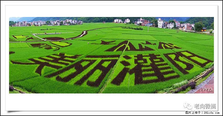 【春天,广西桂林灌阳县向您发出邀请!】开篇 - 游山玩水 - 上饶生活社区 - 上饶28生活网 sr.28life.com