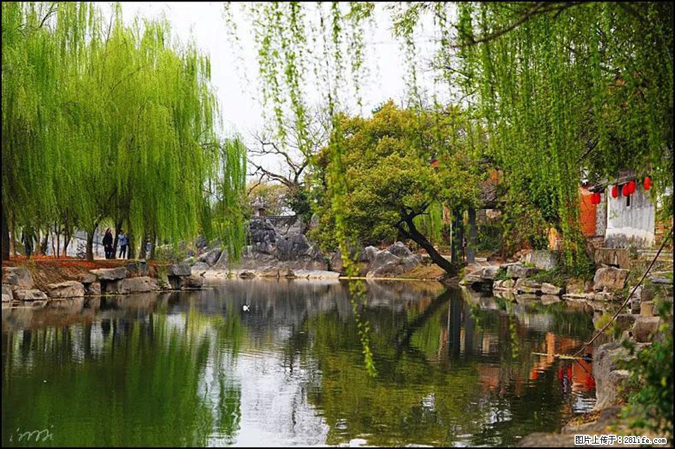 【春天,广西桂林灌阳县向您发出邀请!】江口老街又逢春 - 游山玩水 - 上饶生活社区 - 上饶28生活网 sr.28life.com