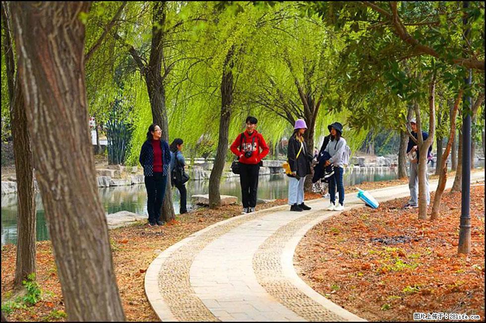 【春天,广西桂林灌阳县向您发出邀请!】江口老街又逢春 - 游山玩水 - 上饶生活社区 - 上饶28生活网 sr.28life.com