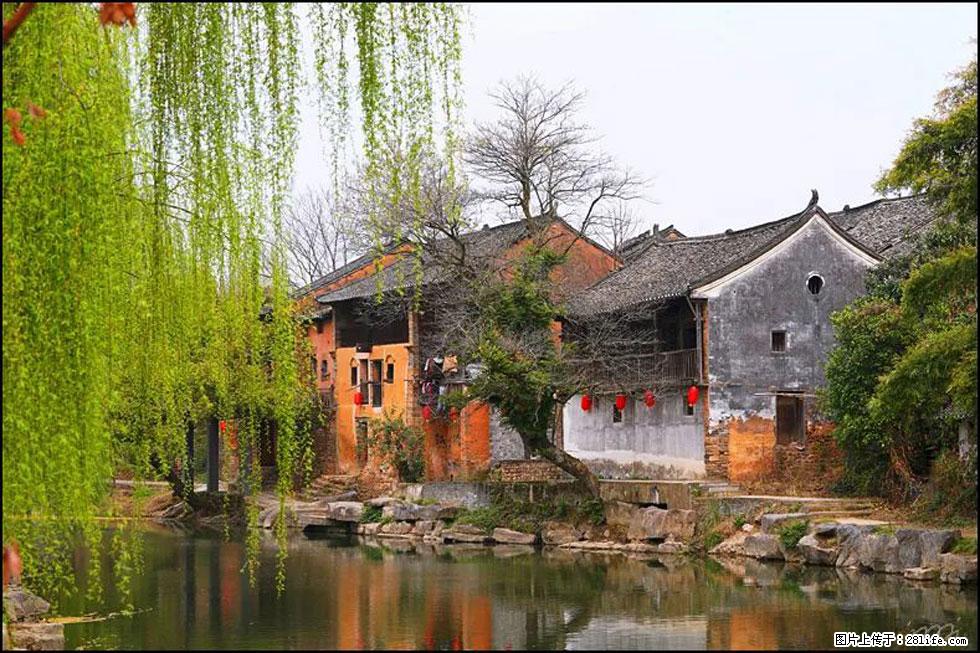 【春天,广西桂林灌阳县向您发出邀请!】江口老街又逢春 - 游山玩水 - 上饶生活社区 - 上饶28生活网 sr.28life.com