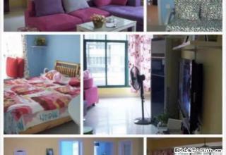 阳光花城 全新精装修 家电齐全 拎包入住 今笋房 - 上饶28生活网 sr.28life.com