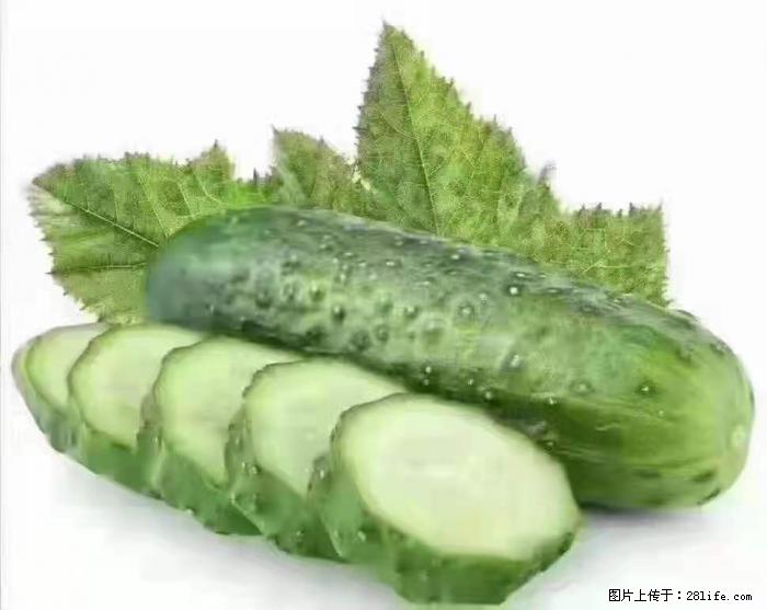 【生活小常识】吃黄瓜的好处 - 生活百科 - 上饶生活社区 - 上饶28生活网 sr.28life.com