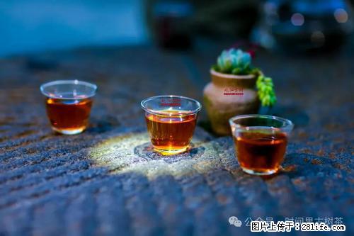 时间果百年古树2025年春红茶 - 购物交流 - 上饶生活社区 - 上饶28生活网 sr.28life.com