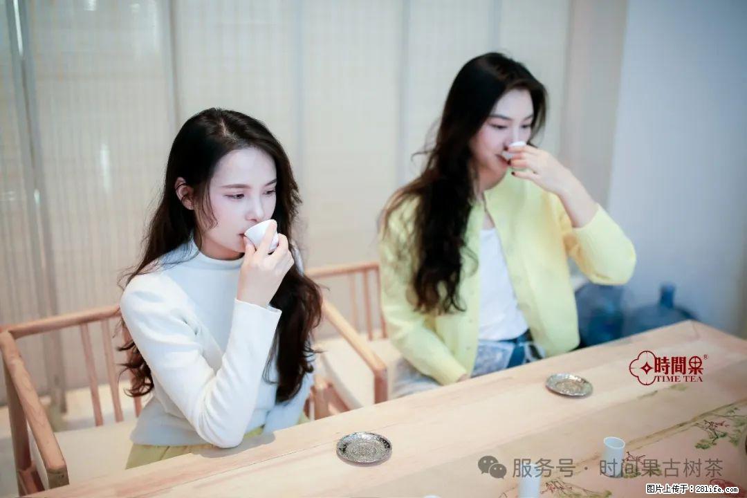 时间果百年古树龙珠普洱生茶 - 购物交流 - 上饶生活社区 - 上饶28生活网 sr.28life.com