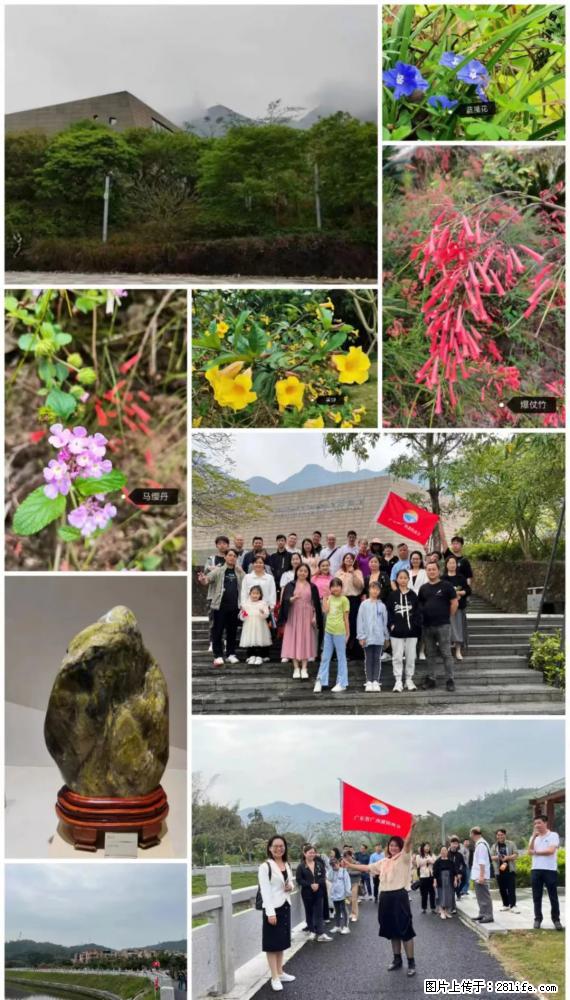 “粤灌文化 美好生活”油茶文化主题活动在广东深圳成功举办 - 上饶生活资讯 - 上饶28生活网 sr.28life.com