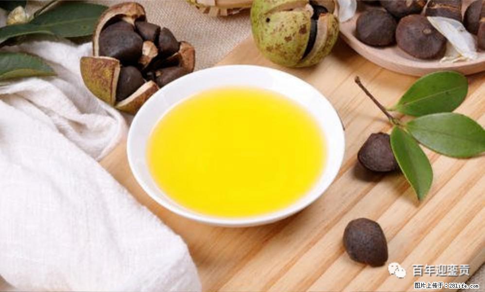 揭秘茶油的5大核心营养成分!被称为人体健康的“守护盾”! - 上饶生活资讯 - 上饶28生活网 sr.28life.com