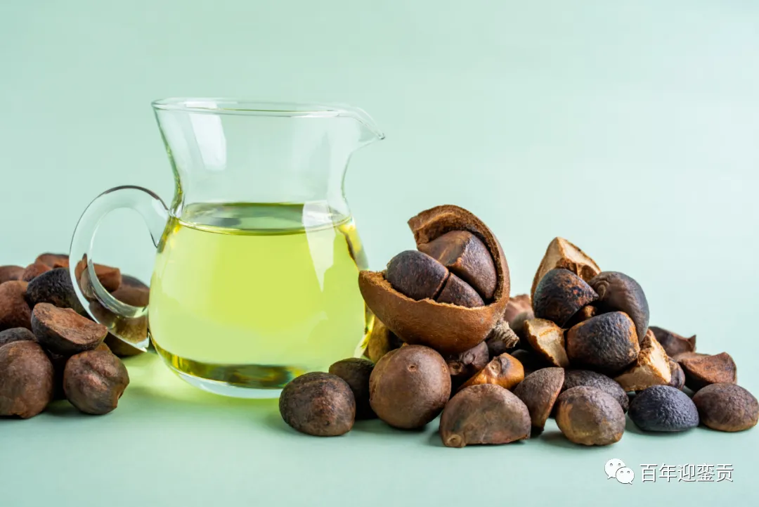 世界没有真相,只有认知,最好的食用油是中国的山茶油! - 上饶生活资讯 - 上饶28生活网 sr.28life.com