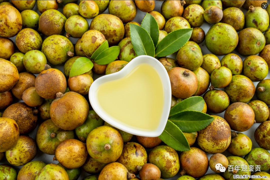 世界没有真相,只有认知,最好的食用油是中国的山茶油! - 上饶生活资讯 - 上饶28生活网 sr.28life.com