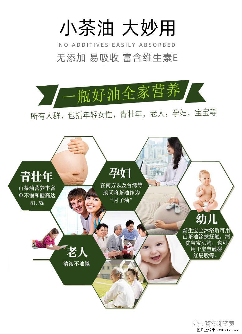 世界没有真相,只有认知,最好的食用油是中国的山茶油! - 上饶生活资讯 - 上饶28生活网 sr.28life.com