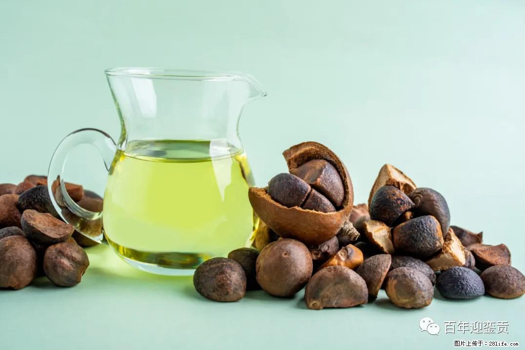世界没有真相，只有认知，最好的食用油是中国的山茶油！ - 上饶生活资讯 - 上饶28生活网 sr.28life.com