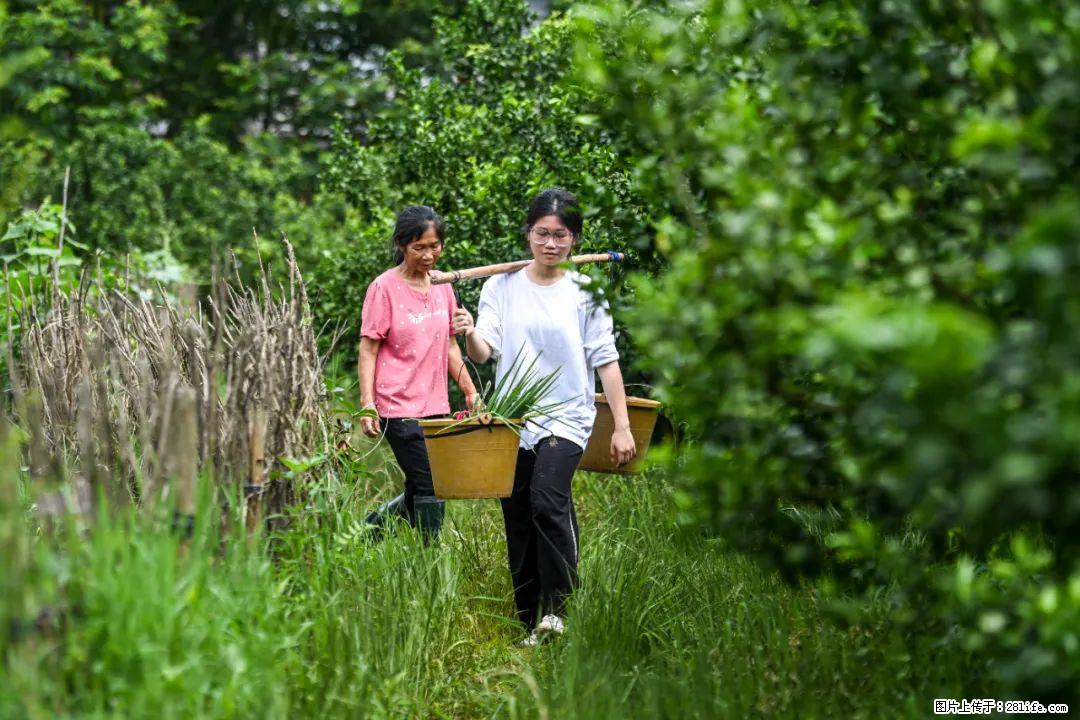 全网追的“扁担女孩”,找了一份暑假工,时薪12元 - 上饶生活资讯 - 上饶28生活网 sr.28life.com