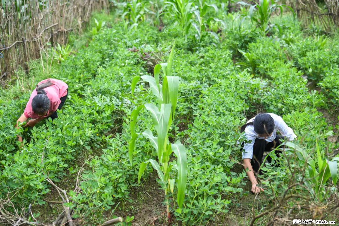全网追的“扁担女孩”,找了一份暑假工,时薪12元 - 上饶生活资讯 - 上饶28生活网 sr.28life.com