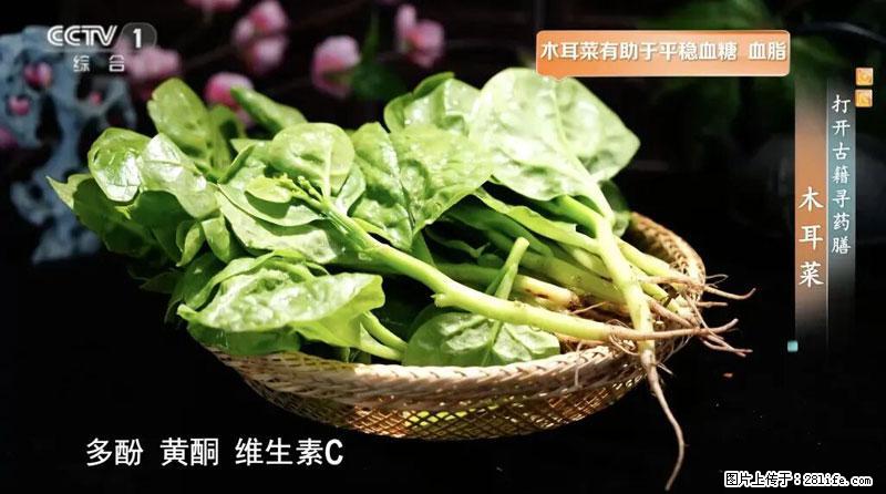 比牛奶补钙还厉害!凉血解毒、稳血糖...这菜冬天必吃,很多人却当草 - 上饶生活资讯 - 上饶28生活网 sr.28life.com