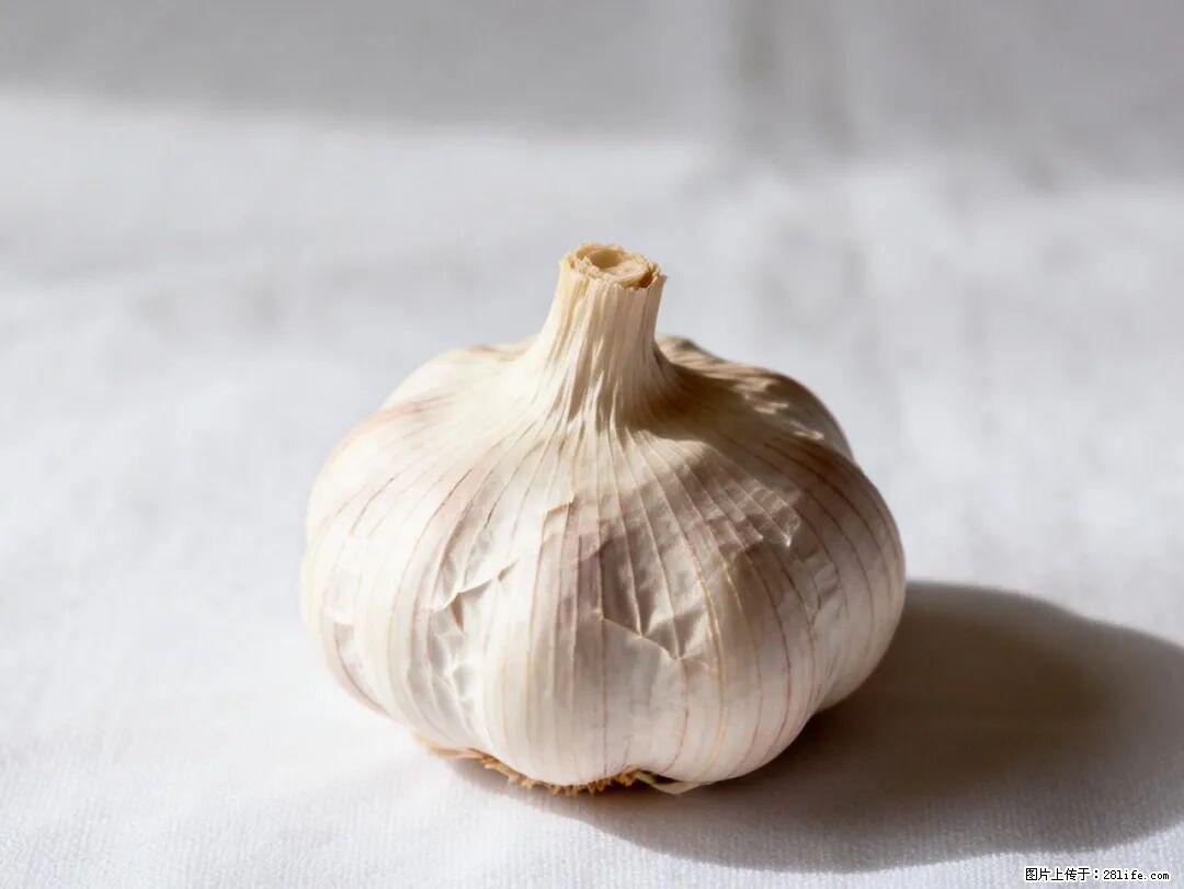 关于大蒜，除了“天然抗生素”，这4个谣言更该警惕! - 上饶生活资讯 - 上饶28生活网 sr.28life.com