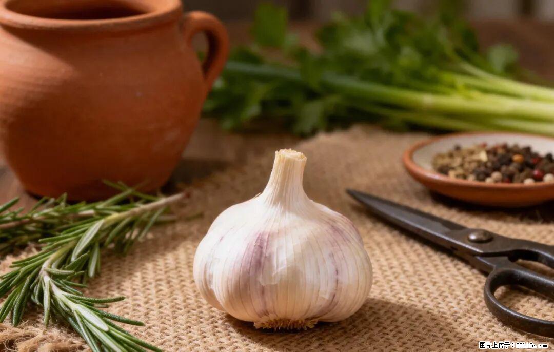 关于大蒜，除了“天然抗生素”，这4个谣言更该警惕! - 上饶生活资讯 - 上饶28生活网 sr.28life.com