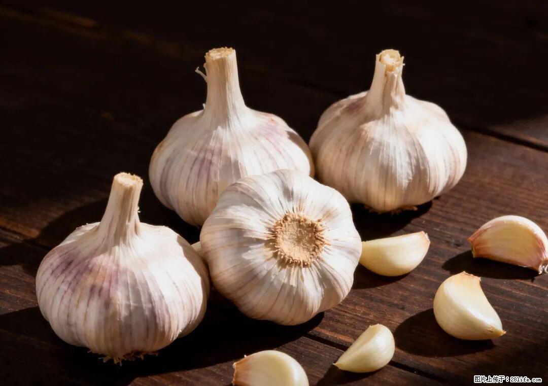 关于大蒜，除了“天然抗生素”，这4个谣言更该警惕! - 上饶生活资讯 - 上饶28生活网 sr.28life.com