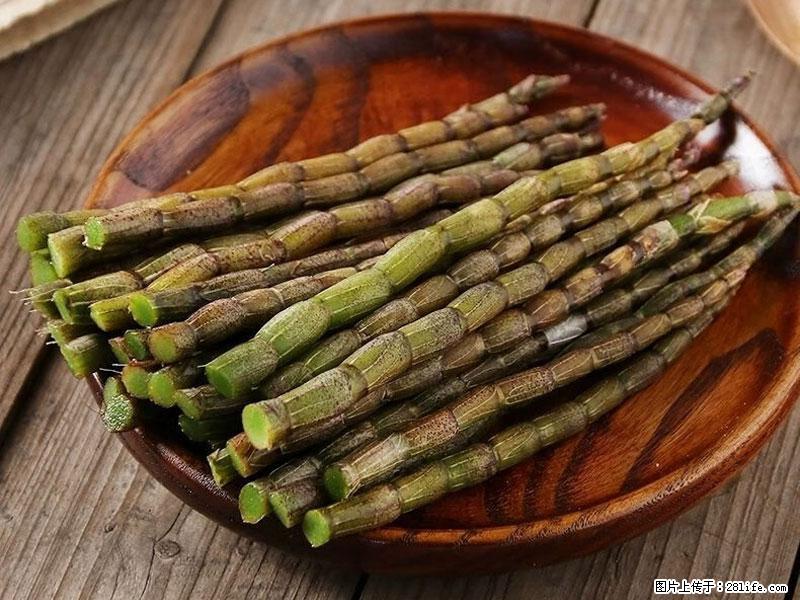 铁皮石斛的作用与功能主治 - 上饶生活资讯 - 上饶28生活网 sr.28life.com